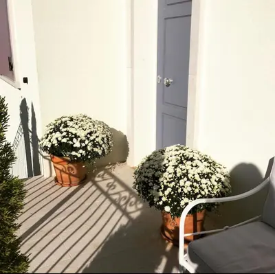 Giardino di Guest house Festinalente