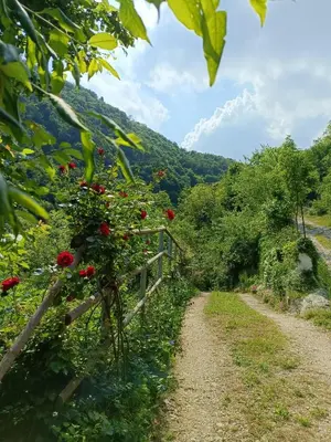 Paesaggio naturale nelle vicinanze dell'appartamento