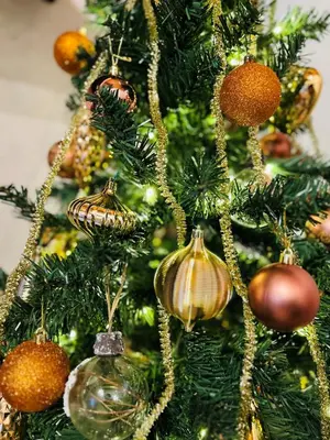 Planimetria di La casa di Lory