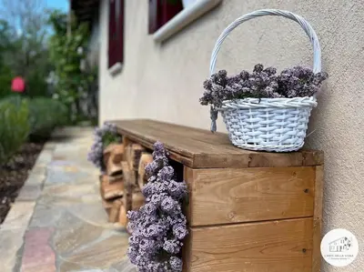 Ospiti di Casa L'arte della Vigna con animali domestici