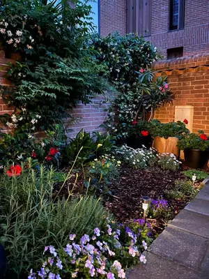 Giardino di Venezia,Giudecca appartamento con giardino privato