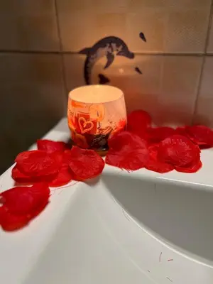 Planimetria di RESIDENCE CA VENEXIAN