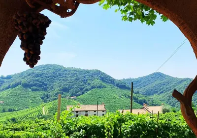 Vista generica sulle montagne o vista sulle montagne dall'interno dell'appartamento