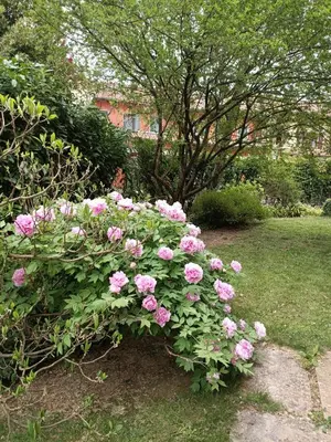 Giardino di Camera nella Casa dei Tigli