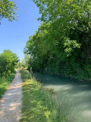 Paesaggio naturale nelle vicinanze della stanza in casa privata