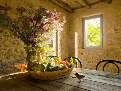 Cibo presso l'agriturismo o nelle vicinanze