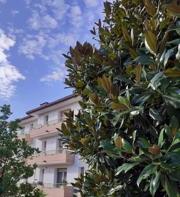 Giardino di casanita