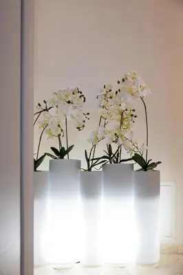 Planimetria di Piccola Venezia Room