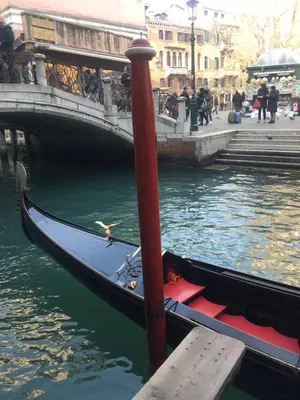 Vista sul fiume nelle vicinanze dell'affittacamere
