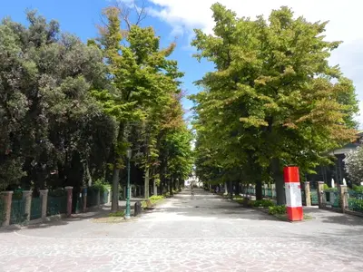 Planimetria di Biennale 252