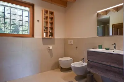 Bagno di Palladio Vineyard
