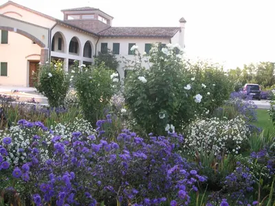 Giardino di Agriturismo Due Torri