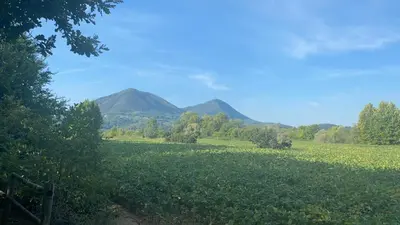 Paesaggio naturale nelle vicinanze dell'appartamento