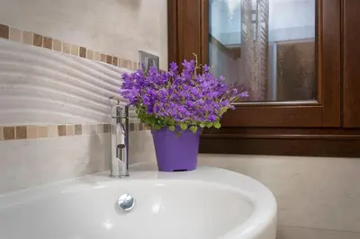 Bagno di Biennale Comfort House - modernità a Castello