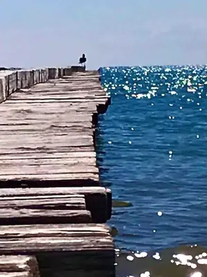 Paesaggio naturale nelle vicinanze dell'appartamento