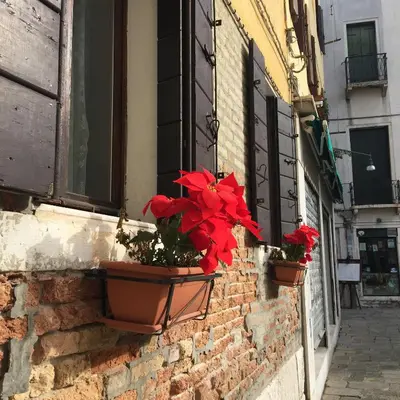 Edificio in cui si trova l'appartamento