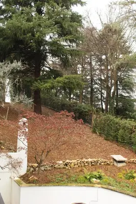 Paesaggio naturale nelle vicinanze del bed & breakfast