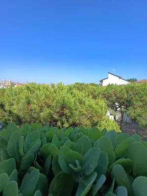 Giardino di Casa Seppa