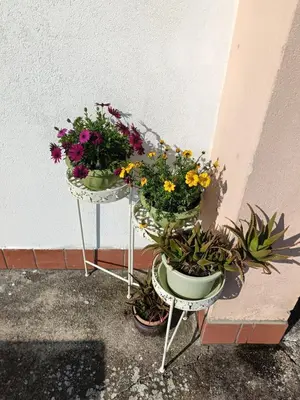 Planimetria di Rox Apartment - 027023-LOC-00174