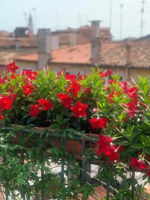 Planimetria di Top Floor Terrace Elegant Apartment 4 min from St Mark s Square No Lift - Venice Heaven Apartments Collection