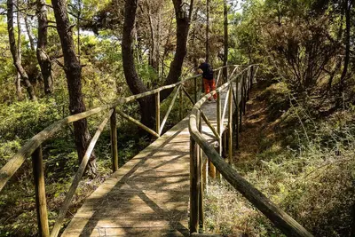 Paesaggio naturale nelle vicinanze dell'appartamento