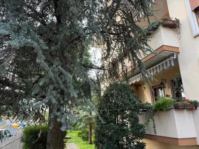 Giardino di Kate's house