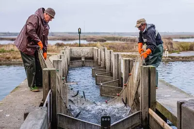 Paesaggio naturale nelle vicinanze dell'appartamento