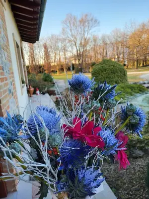 Giardino di Elis' House