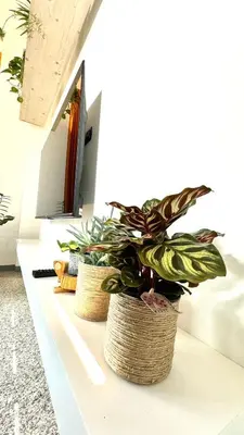 TV o dispositivi per l'intrattenimento presso Roses' Home
