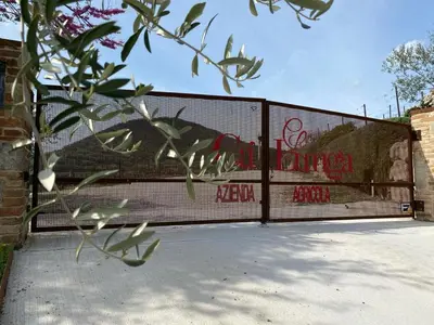 Planimetria di AZIENDA AGRICOLA CA' LUNGA