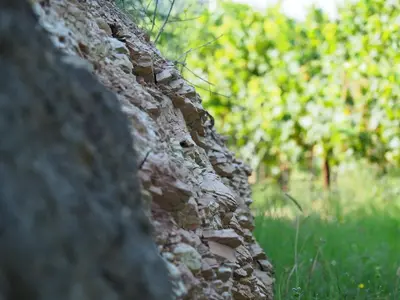 Planimetria di AZIENDA AGRICOLA CA' LUNGA