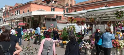 Ospiti di Casa di Valli