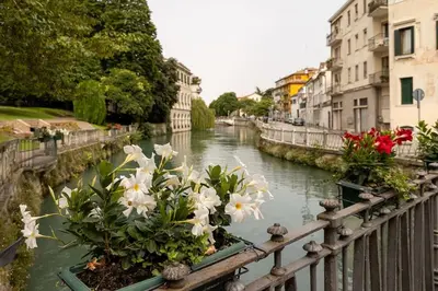 Vista sul fiume nelle vicinanze dell'appartamento