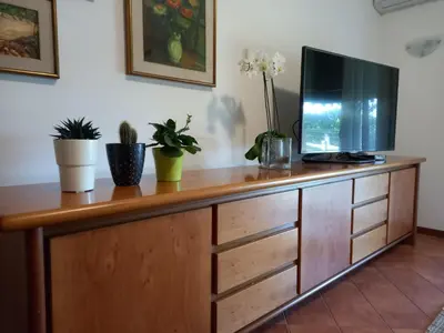 TV o dispositivi per l'intrattenimento presso Casa vacanze La Madonnetta