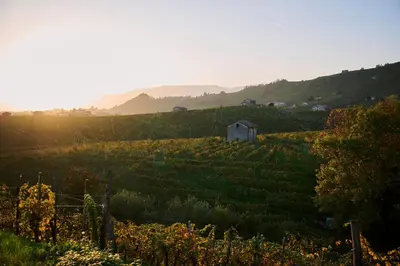 Paesaggio naturale nelle vicinanze dell'agriturismo