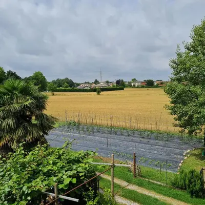 Paesaggio naturale nelle vicinanze dell'appartamento