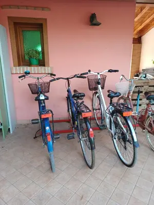 Attività di ciclismo presso l'agriturismo o nelle vicinanze