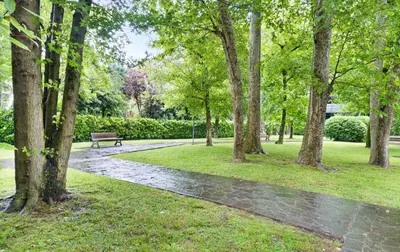 Planimetria di Casa di Wanni