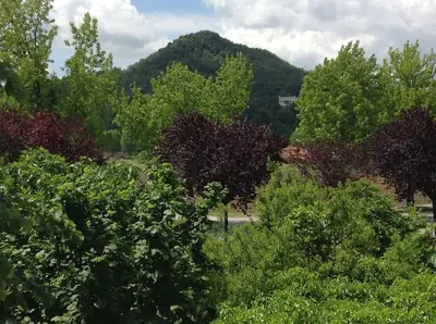Paesaggio naturale nelle vicinanze della casa vacanze