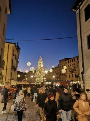 Ospiti di Civico 55b