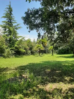 Giardino di Alloggio a Sant Erasmo Venezia
