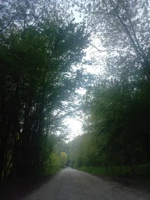 Paesaggio naturale nelle vicinanze della casa vacanze