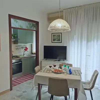 Viale VSM 108