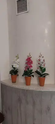 Planimetria di Ca' SVIZZERO