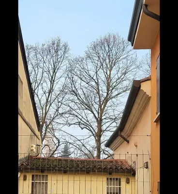 Edificio in cui si trova l'appartamento