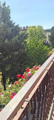 Balcone o terrazza di Oasi Verde