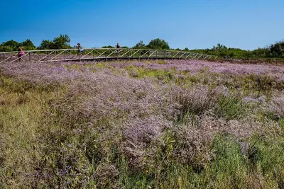 Paesaggio naturale nelle vicinanze dell'appartamento