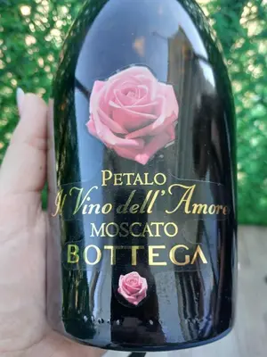 Planimetria di Rosalinda