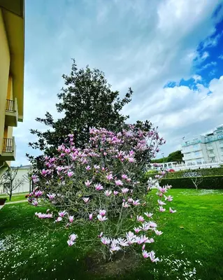 Giardino di Apartment with Pool in Cavalino Jesolo