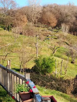 Paesaggio naturale nelle vicinanze dell'agriturismo